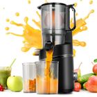 AMZCHEF Extracteur de jus Sans Préparation, Extracteur Jus Lent 135mm 1,8 L, Slow Juicer 250W sans BPA, Noir