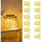 Guirlande Lumineuse - HANDEIU - Lot de 12 - 2m - 20 LEDs - Étanche IP65