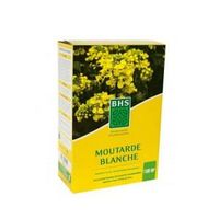 Semences de revitalisation - Moutarde Blanche - Plante - Blanc - 500g