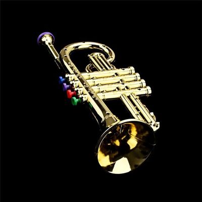 Trompette Enfants Musical Jouet ÉDucatif Instruments à Vent ABS ou Trompette  avec 4 Touches ColoréEs pour Enfants