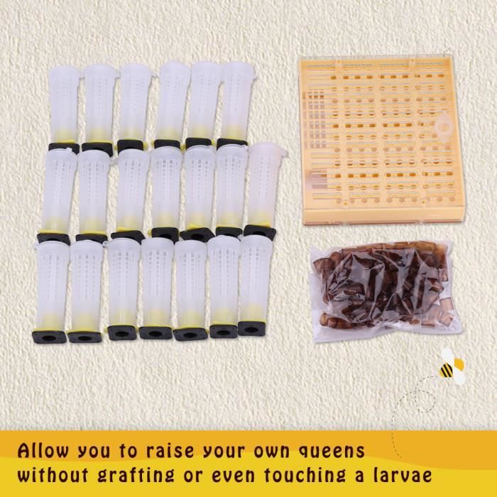 AIZ Kit de tasse d'élevage de la reine Outil de culture d'abeilles Ensemble de cage d'apiculture en plastique