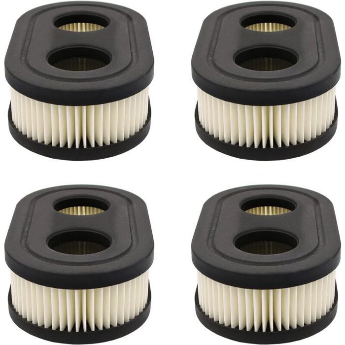 Filtre à Air En Mousse + Bougie D'Allumage Pour Tondeuse - Remplacement 799579 Compatible Briggs & Stratton