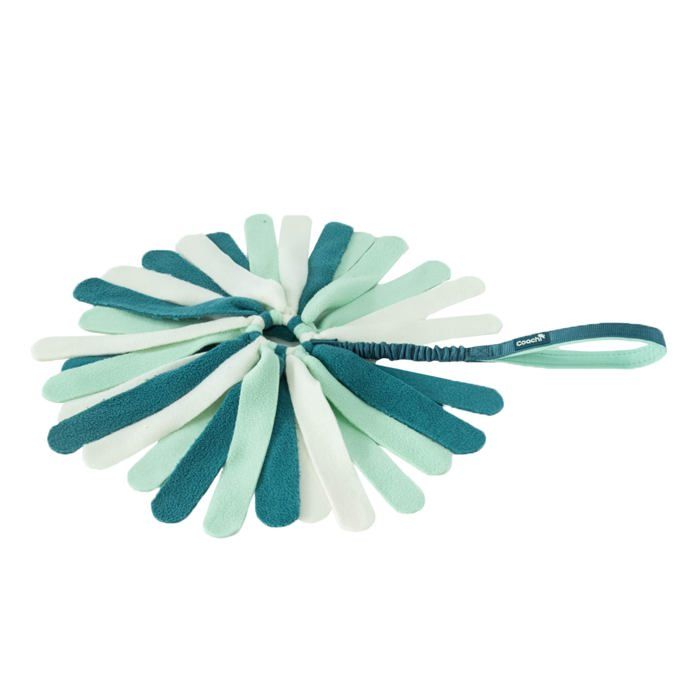 Jouet éducatif pour chiens - Company of Animals - Tuggi Spider - 15x5x39 cm - Bleu Sarcelle et Menthe