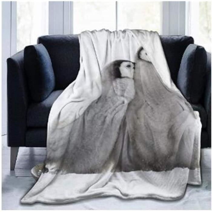 Couverture Polaire En Microfibre Pour Lit Canapé Et Fauteuil