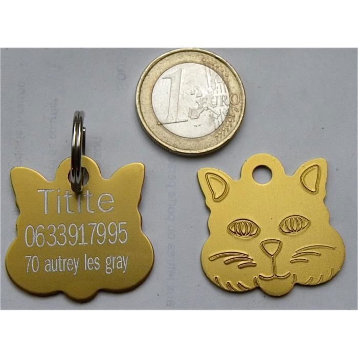 1 MÉDAILLE gravée pour chat doré