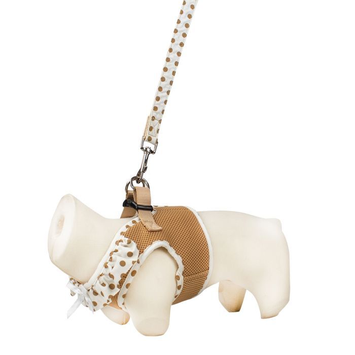 Harnais air mesh et laisse pois Beige Taille : XS - DOOGY CLASSIC