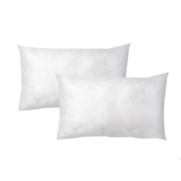 LNT France Lot de 2 Coussins de garnissages 50x30 cm – ultra gonflant longue durée pour housse canapé déco salon