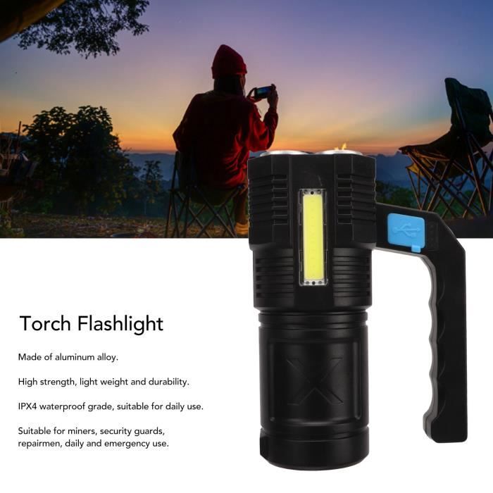 Lampe de poche miniature projecteur rechargeable DEL 100 lumens