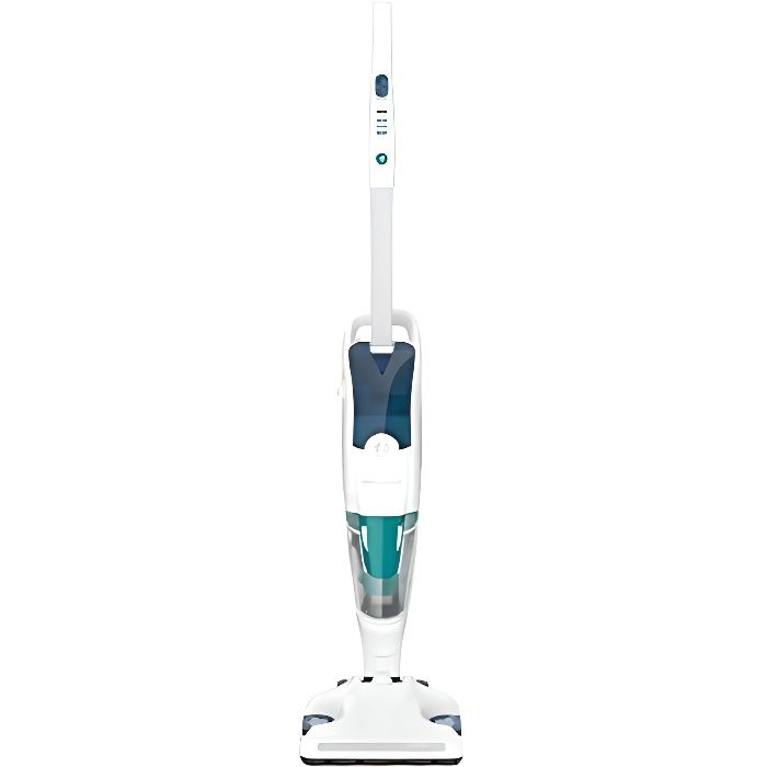 clean and steam cdiscount