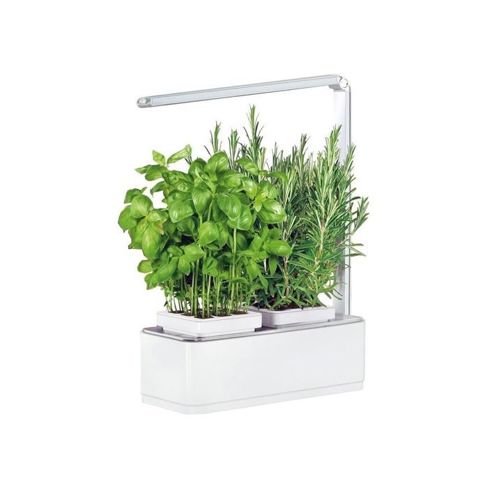 Potager Enfant Achat Vente Pas Cher