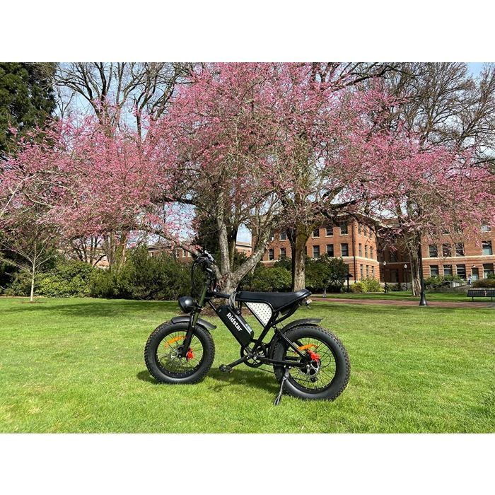 Vélo électrique Tout-terrain DEEPOWER H20 PRO – Pneus 20"x4.0, Batterie 48V 25Ah, Autonomie Jusqu'à 110 Km, Moteur Couple 120N·m, Cadre Pliable, Double Suspension Hydraulique, Freins à Disque
