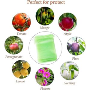 70 Sachets De Protection En Organza Pour Raisins/fruits - 30x20 Cm Avec Cordon - Vert - Neufs