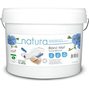 Peinture Mat Plafond Monocouche 5l Achat Vente Pas Cher