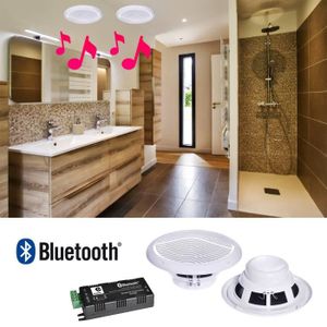 Kit Haut Parleurs B402bl 2x15w De Plafond Salle De Bain Avec