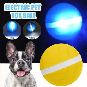 BALLE - FRISBEE Magic Roller Ball pour chiens, Balle de jouet élec