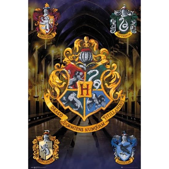 Poster Harry Potter Blasons Poudlard Poufsouffle Serpentard Gryffondor 91 X 61 Cm Achat Vente Affiche Poster Poster Harry Potter Cdiscount