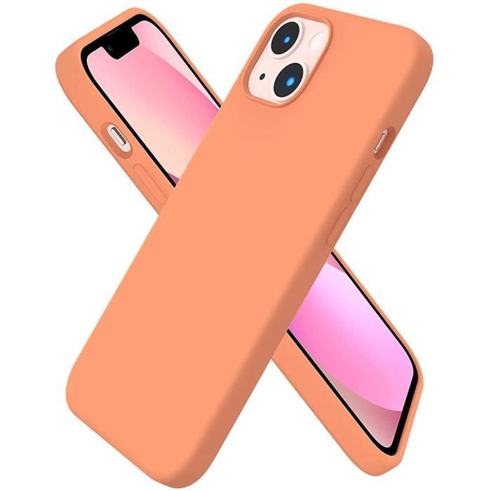 Coque TPU Gel Silicone Pour iPhone 13 (6,1\