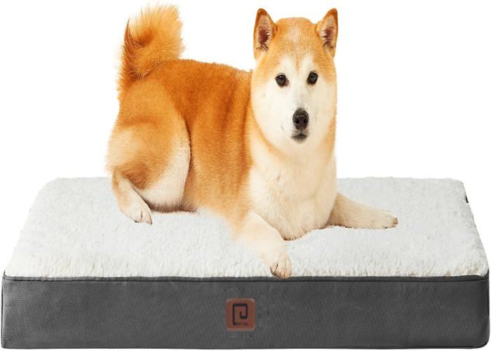 Meilleurs prix pour Panier Chien Orthopedique,Coussin Chien Dehoussable Lit Pour Chien Lavable,Tapis Epais Pour Chien Grande Taille,Matelas Chien,Beige