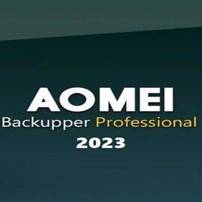 AOMEI Backupper Professional 2023 for Windows Perpetual AOMEI