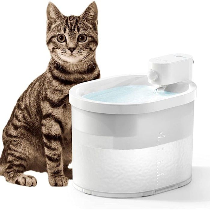 Comparer les prix de ®RisingFF Fontaine à eau sans fil pour animaux de compagnie fontaine à eau silencieuse pour animaux de compagnie