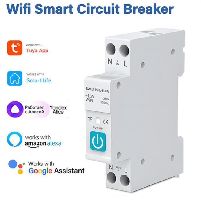 16A sans Compteur-Tuya Zigbee-Disjoncteur WiFi Intelligent avec Mesure,  1P,Rail DIN pour Maison Intelligente, - Cdiscount Bricolage