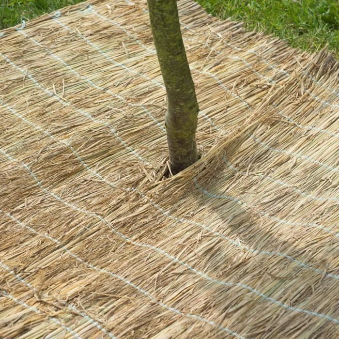 Toile De Jute 100 X 200 Cm, Protection Hivernale Pour Plantes | Jeunes
