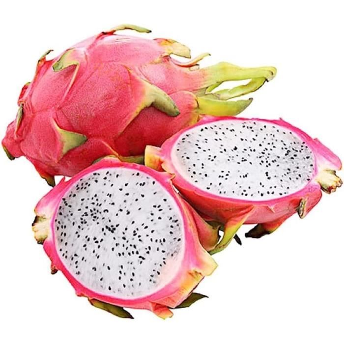 50pcs Pitaya Graines Dragon Fruit Rare Vivace Dragon Fruit Graine