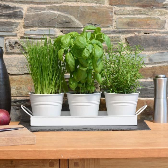 Pot à Herbes Plantes D'intérieur Plateau Lot de 3 Cultivez des Herbes Fraîches chez Vous Jardinières Rebord de Fenêtre Metal Blanc