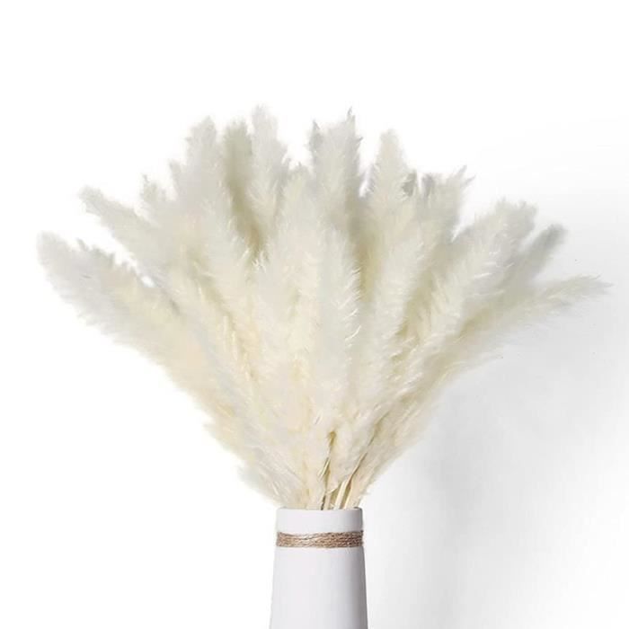 36 Pièces Herbe De Pampa Séchée Naturelle Bohème – 24 Naturel + 12 Blanc Pour Mariage, Maison & Déco Table