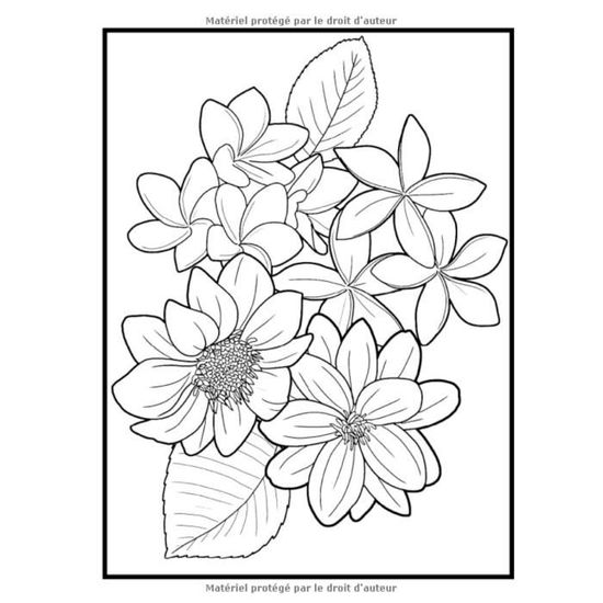 1332 90 fleurs livre de coloriage pour adultes des coloriages jonquilles tulipes roses et plein d autres 185 pages for cdiscount jeux jouets flamant rose