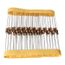 50 x Resistors 13 Ohms OHM 1//4W 5/% Carbon Film