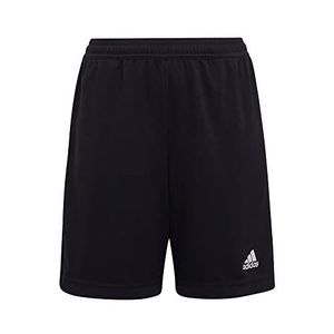 Short foot adidas homme online