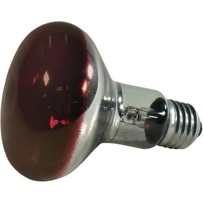 Lot De 10 Ampoules Goutte E27 60W - Blanc Chaud - Intensité Variable - Marque Leuci
