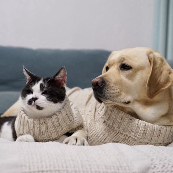 Pull Gilet,Chandail chauffant tricoté à la main blanc Animal de compagnie, chat chien, tricot à la main, chandails - Type WHITE-L #B