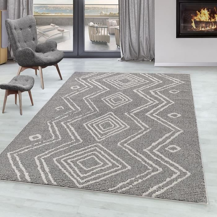 Tapis Beige Poil Ras