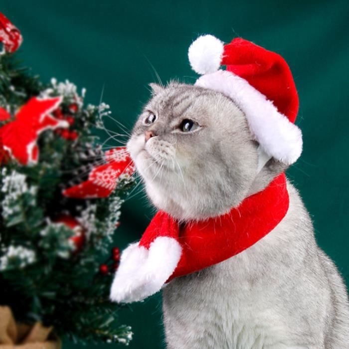 Habit de noel pour chat 2025