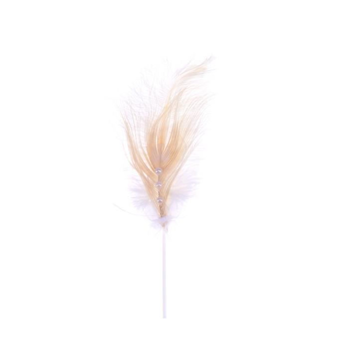 Plume D Autruche Avec Petit Gateau Perle Decoration De Magnifique Pour Une Fete D Anniversaire De Figurine Decor De Gateau Cdiscount Maison