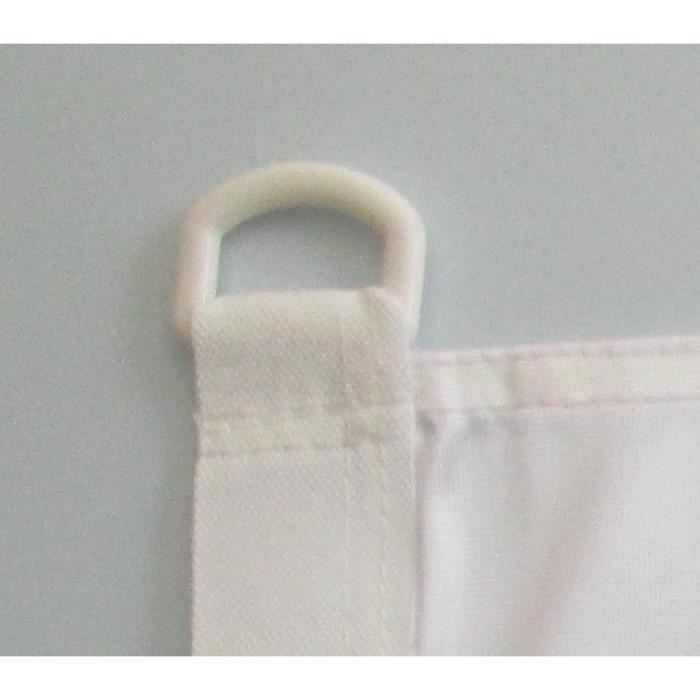 Sphère De Chili Avec Battant Pavillon Chilien Isolé Sur Blanc Vecteurs