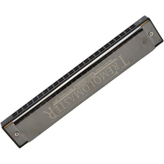 Harmonica 24 Holes Tunes Harmonica d'orgue à Bouche Clé de Bo Majeur avec étui et Chiffon de Nettoyage pour Débutant Adultes Des Bamins Rose 