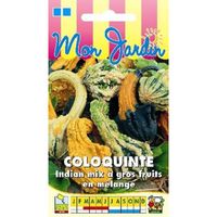Sachet de  Coloquinte Indian Mix gros fruits - 3 g - légume décoratif - LES GRAINES BOCQUET