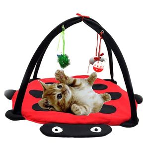 Jeu Attrape Souris Dome Pour Chat Le Jouet Ideal Pour Amuser Votre Animal Cdiscount Jeu Attrape Souris Dome Pour Chat Le Jouet Ideal Pour Amuser Votre Animal Cdiscount