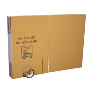 Lot De 20 Cartons De Demenagement Adhesif Achat Vente Caisse