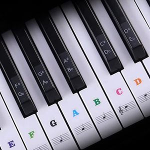 Autocollants colorés et transparents amovibles pour clavier de piano 88/61/54/49 touches pour enfants débutants animaux 