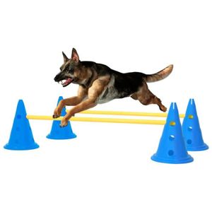 OBSTACLE ÉQUESTRE WONG- Ensemble d'obstacles d'activité pour chien Bleu et jaune