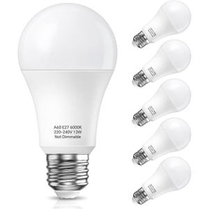 Ampoule LED E27 A60 14W 6000k - Éclairage professionnel