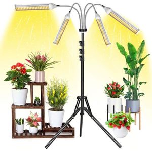 SANSI Lampe Horticole LED 600W avec Minuterie 4/8/12H, Lampe de Croissance  Plantes à Spectre Complet avec 4 Ampoules Plantes E27 Remplaçables pour