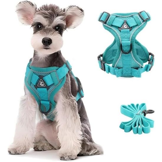 Harnais Anti-traction Pour Chien | Laisse Incluse, Maille Respirante - Taille XS à XL, Sécurité Réfléchissante - 6