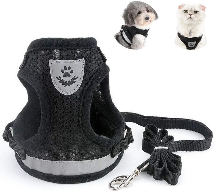 Comparer les prix de Harnais Chat Adulte, Collier et Laisses pour Chats, Anti-Perte avec Pendentif et Grelots, Taille M