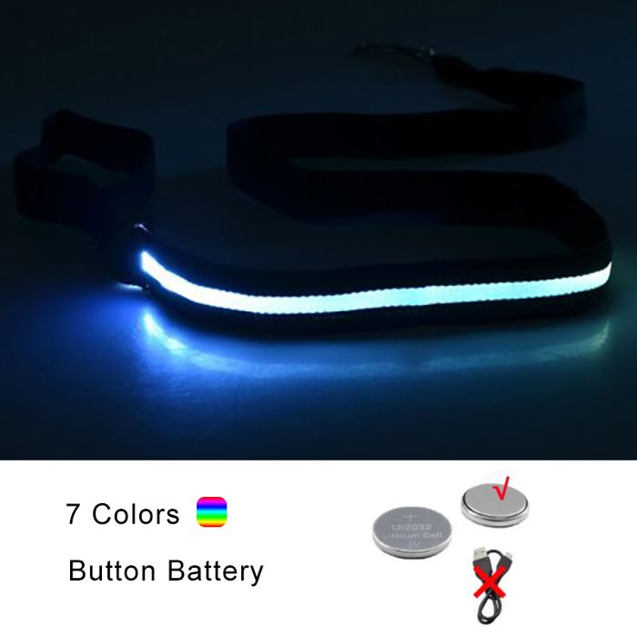 Laisse pour chien lumineuse à LED - Phoesky - 120x2 5 cm - Sangle en nylon - LED clignotante - Étanche - Piles CR2032