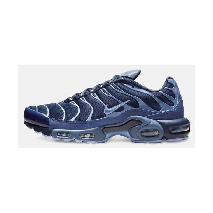 Sneakers Nike Air Max Plus Obsidian Aluminum
